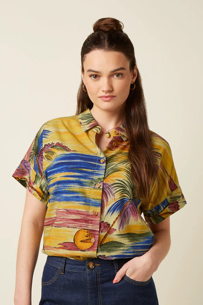 Multi Color