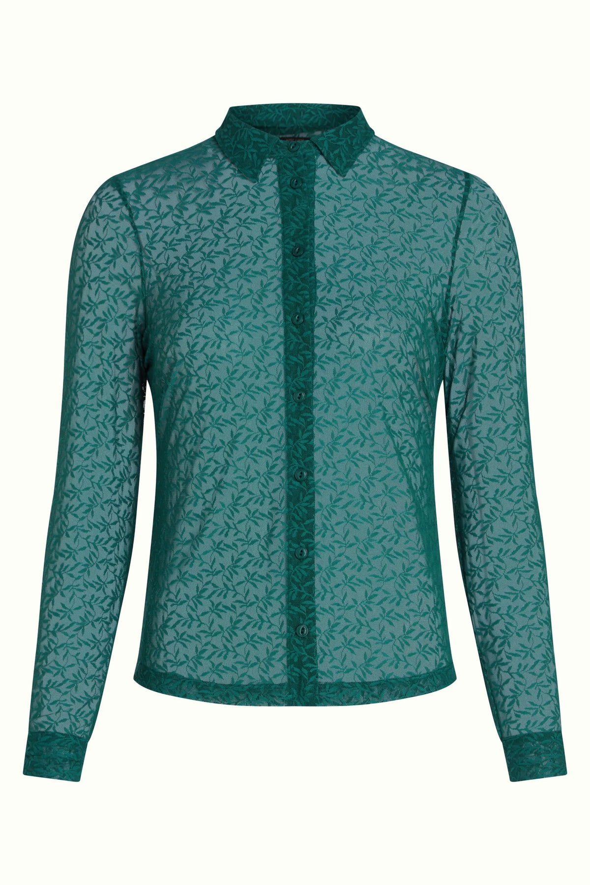 Dragonfly Green