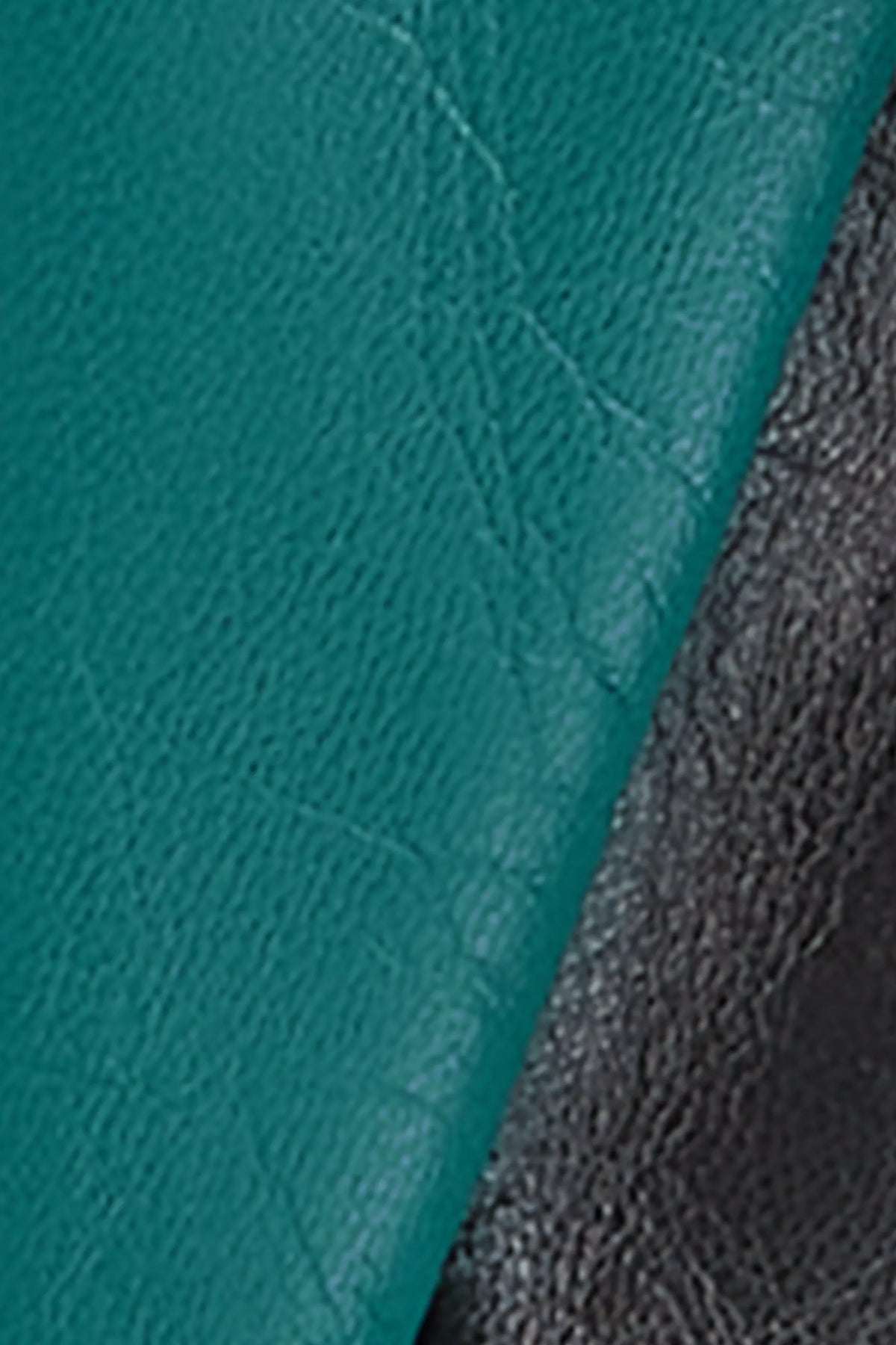 Dragonfly Green